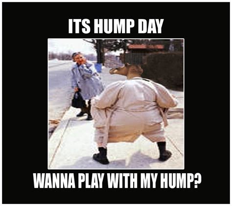 sexy happy hump day meme|25 Hump Day Memes That Make Wednesdays。